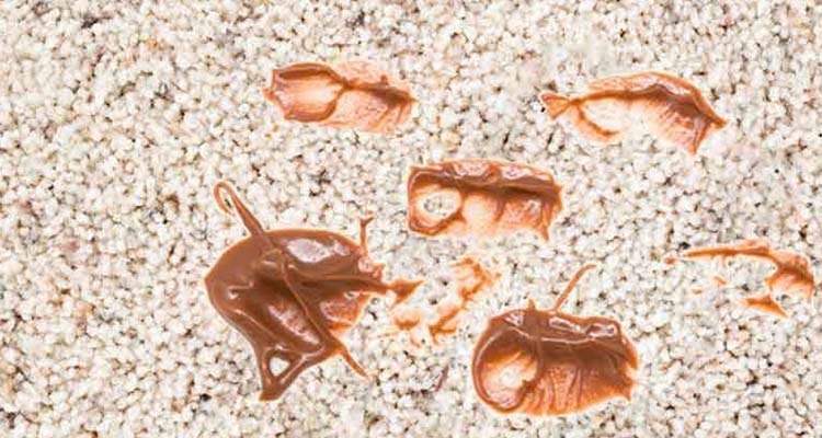 بهترین روش پاک کردن لکه شکلات از فرش