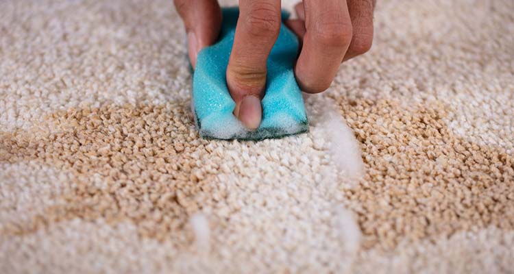 نحوه صحیح پاک کردن لکه شکلات از روی فرش